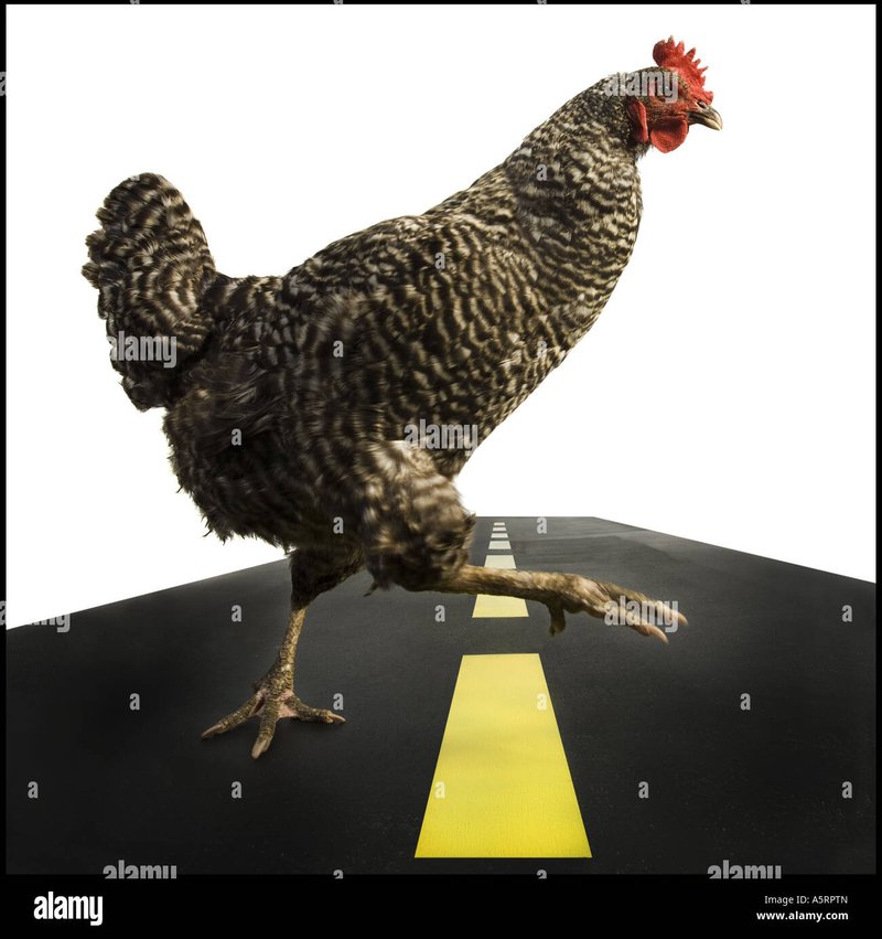 Chicken road demo à France