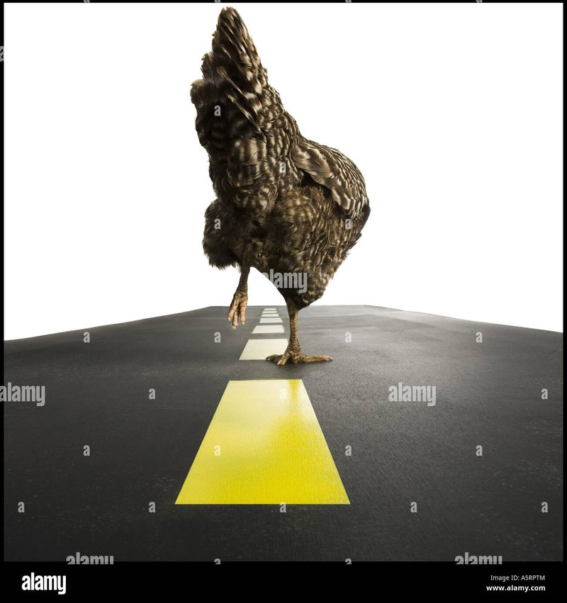 Chicken road casino, chicken road spielen